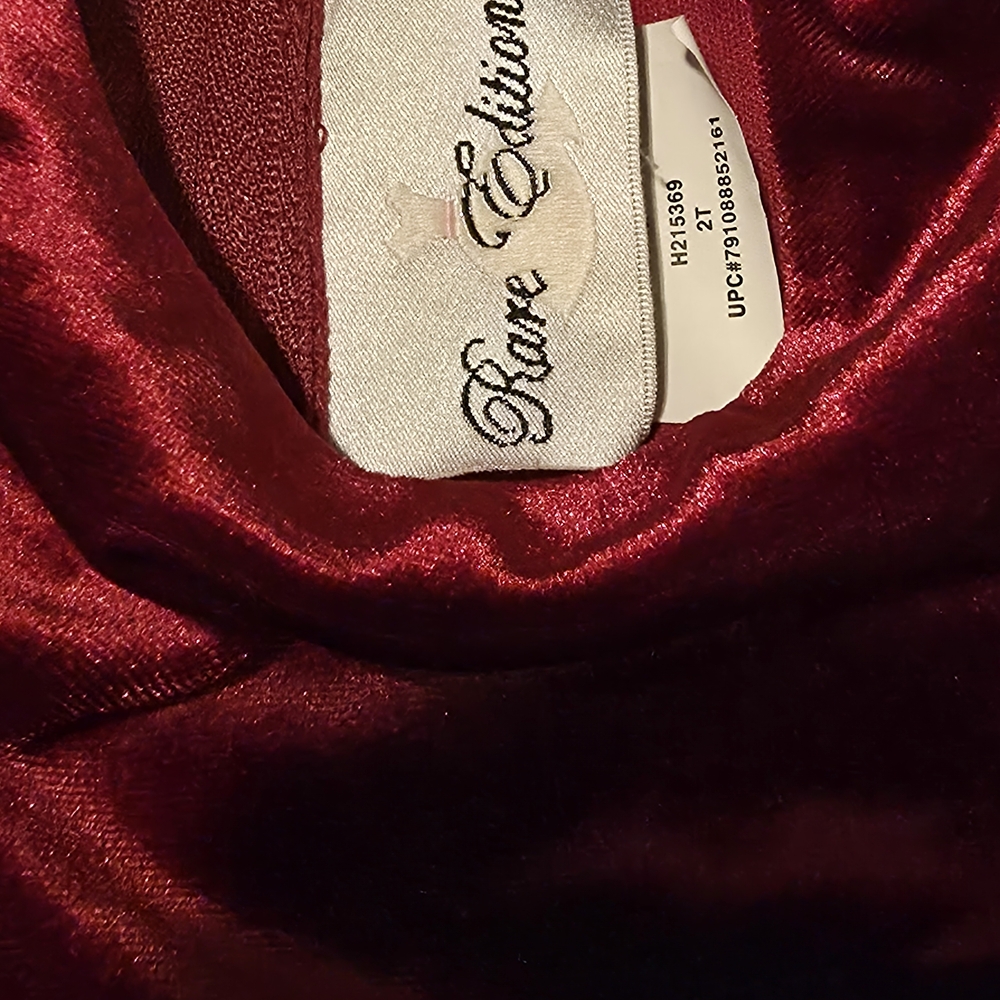 Rare Editions Velvet Bodice Dress with Red Accents 2T - Picture 2 of 11